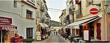 nivo slider image