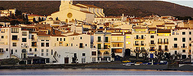 nivo slider image