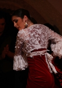 flamenco-5
