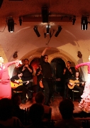 flamenco1