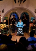 flamenco3