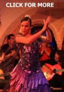 flamenco4